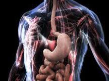 Gastroenterologista